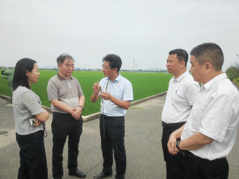 省粮食和物资储备局来常开展秋粮生产收